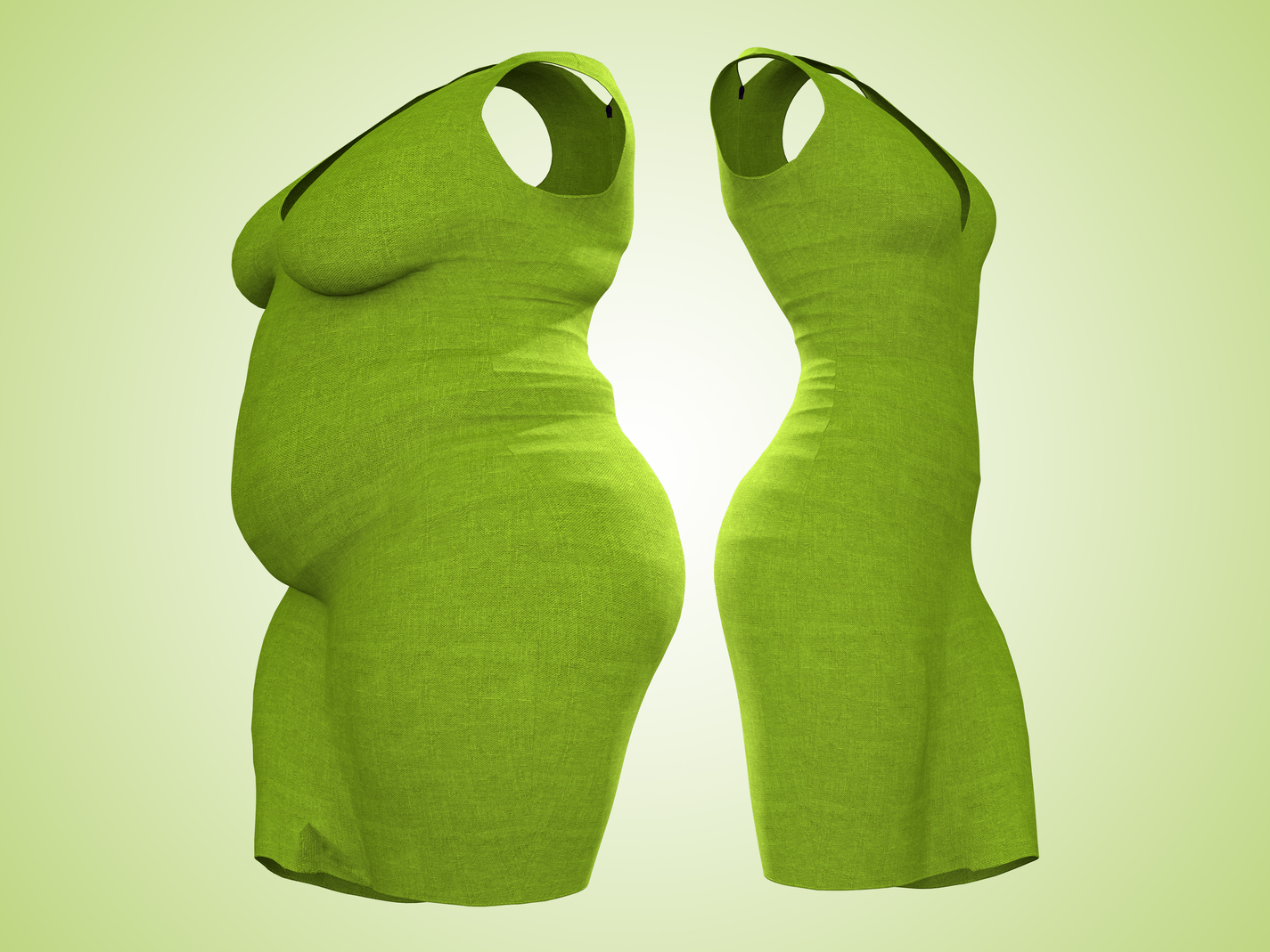 Conceptual,Fat,Overweight,Obese,Female,Dress,Outfit,Vs,Slim,Fit